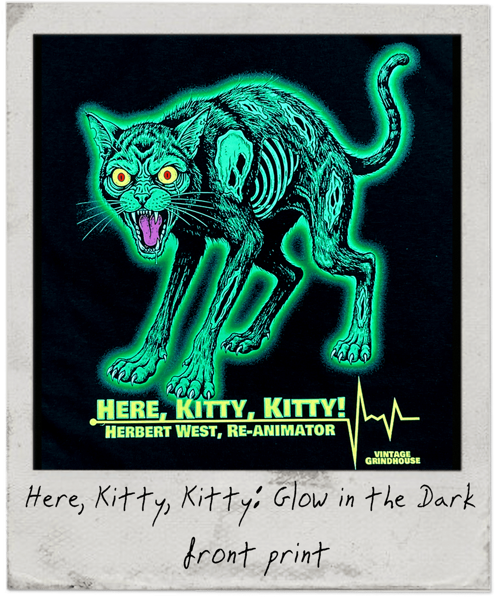 Here Kitty Kitty - glows in the dark!
