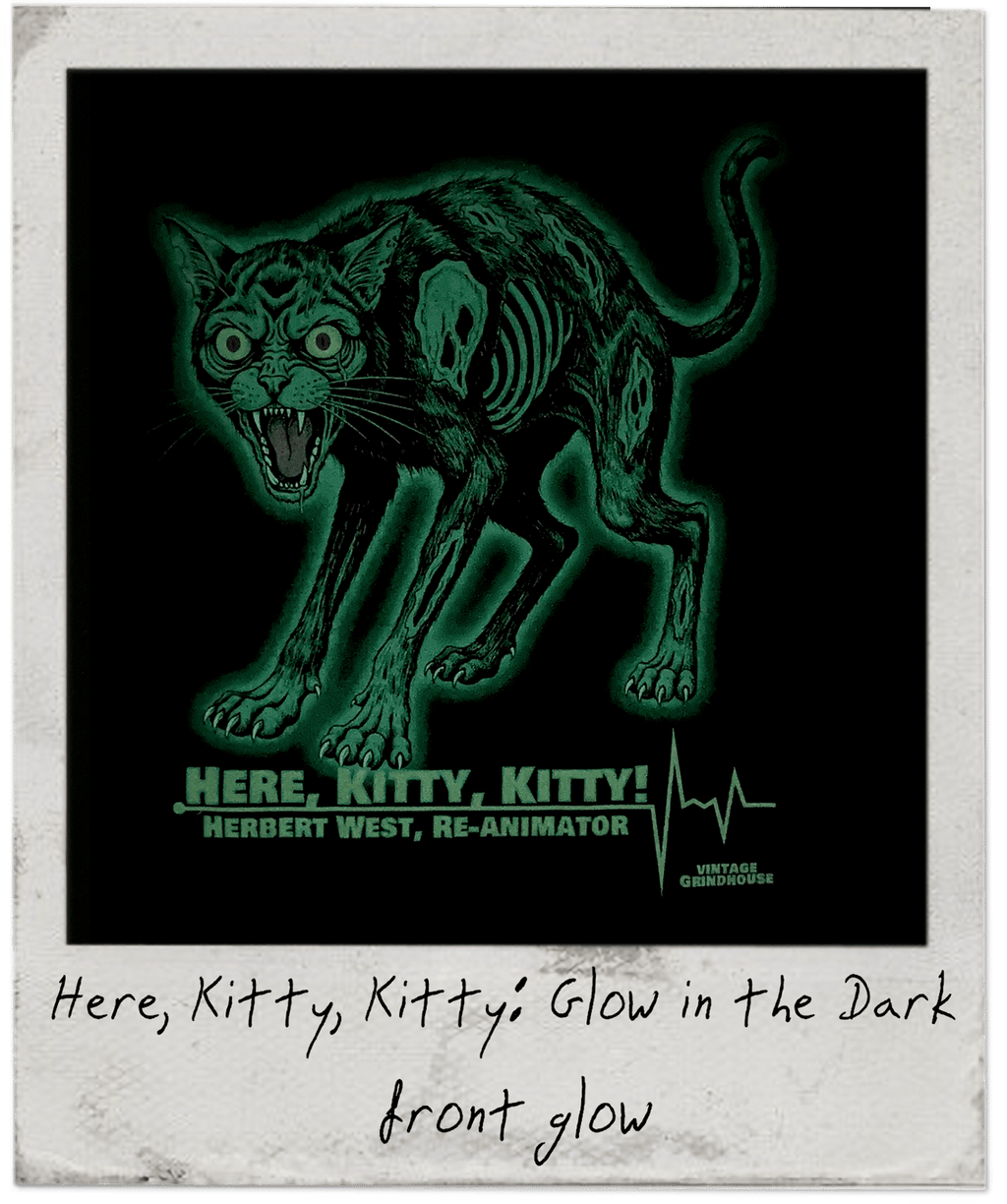 Here Kitty Kitty - glows in the dark!