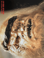 Fangoria Magazine #75 cover featuring close-up of decomposed zombie face with hair and bandana in vintage horror style