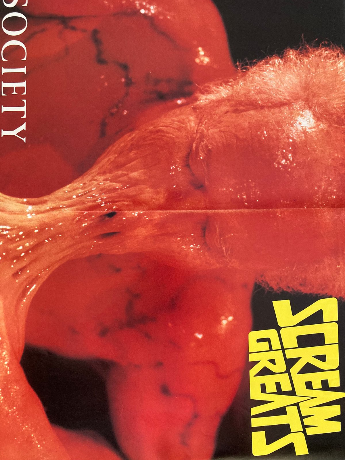 Fangoria Magazine #112