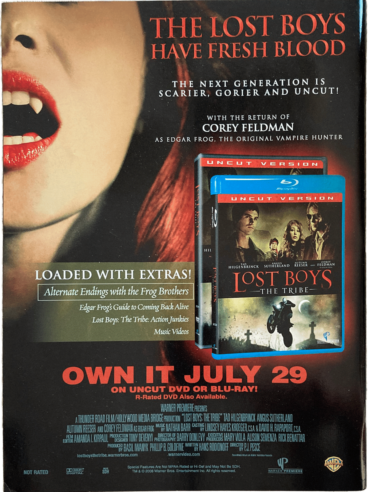 Fangoria Magazine #275