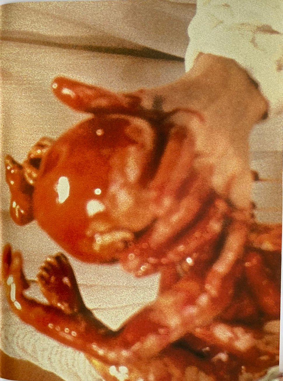 Fangoria Magazine #36