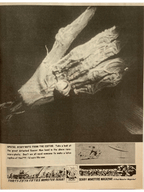 Scary Monsters Magazine (June 2000) #35